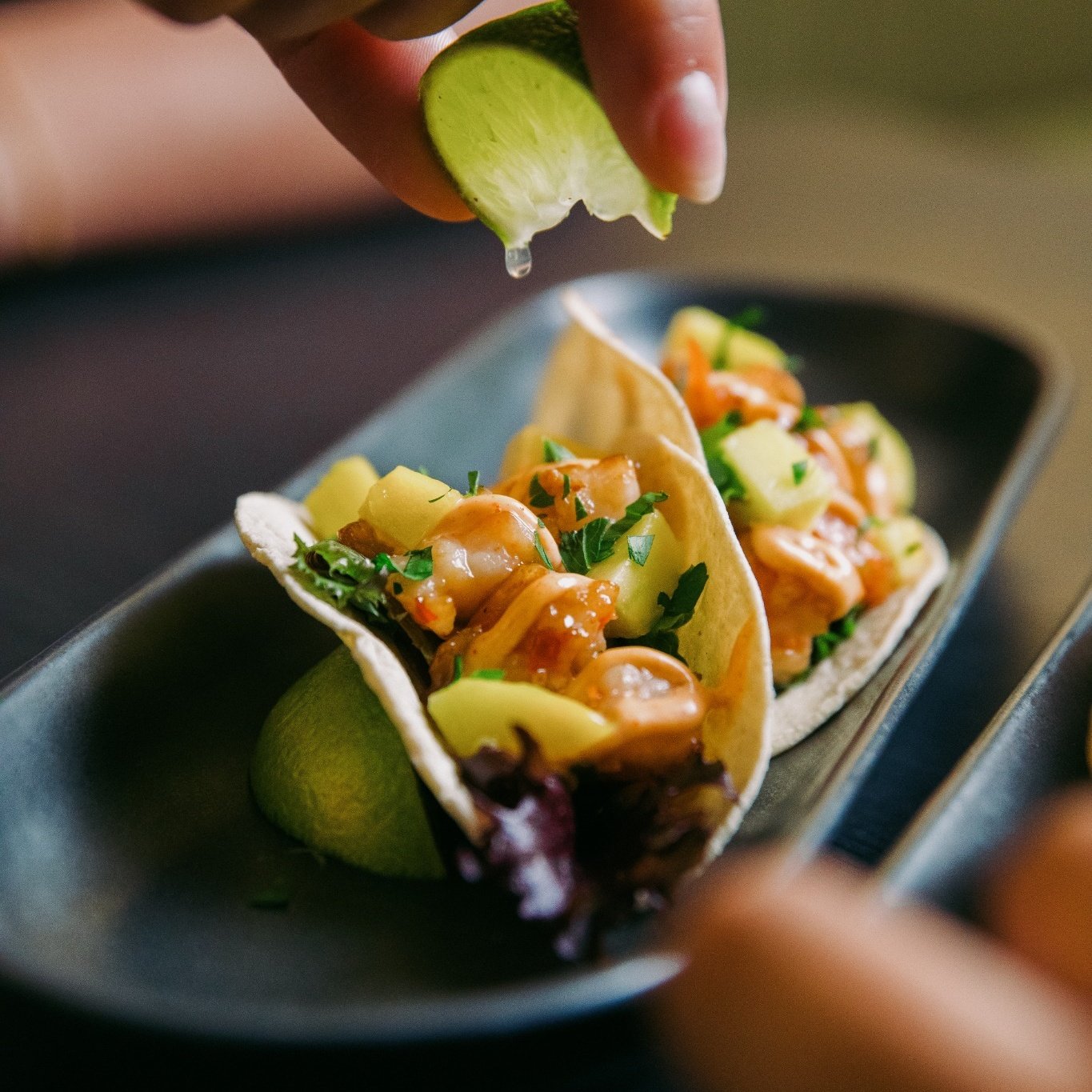 tacos-camarao